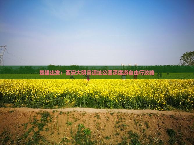 楚雄出发：西安大明宫遗址公园深度游自由行攻略