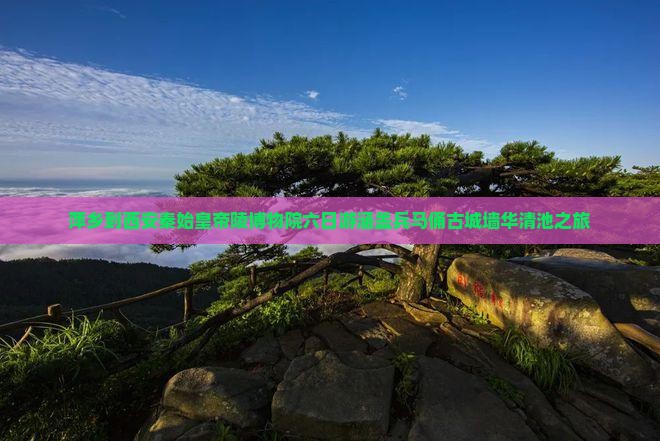 萍乡到西安秦始皇帝陵博物院六日游涵盖兵马俑古城墙华清池之旅