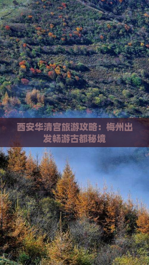 西安华清宫旅游攻略：梅州出发畅游古都秘境