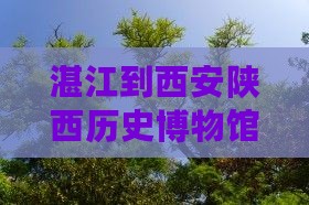 湛江到西安陕西历史博物馆团体旅游攻略