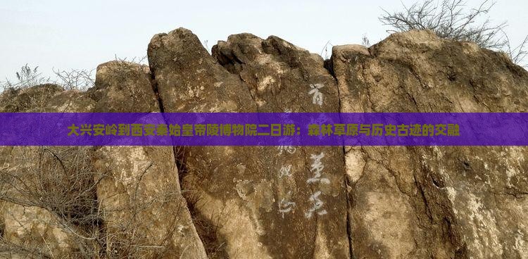 大兴安岭到西安秦始皇帝陵博物院二日游：森林草原与历史古迹的交融