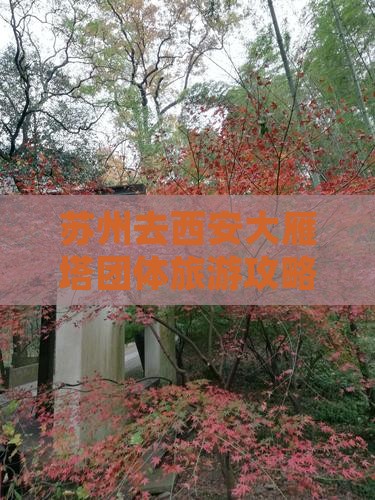 苏州去西安大雁塔团体旅游攻略及报价路线