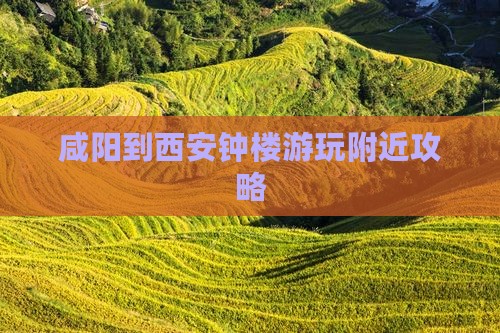 咸阳到西安钟楼游玩附近攻略