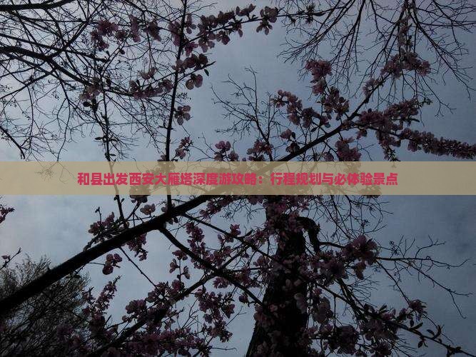 和县出发西安大雁塔深度游攻略：行程规划与必体验景点