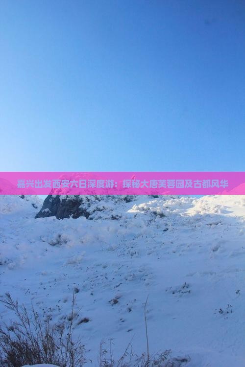 嘉兴出发西安六日深度游：探秘大唐芙蓉园及古都风华