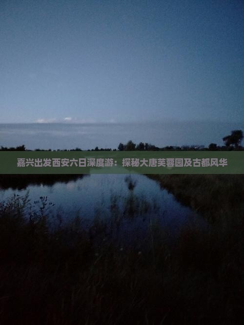 嘉兴出发西安六日深度游：探秘大唐芙蓉园及古都风华