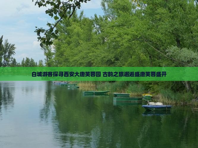 白城游客探寻西安大唐芙蓉园 古韵之旅邂逅盛唐芙蓉盛开