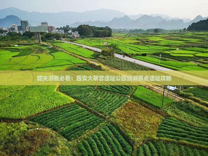 韶关游客必看：西安大明宫遗址公园旅游景点遗址攻略