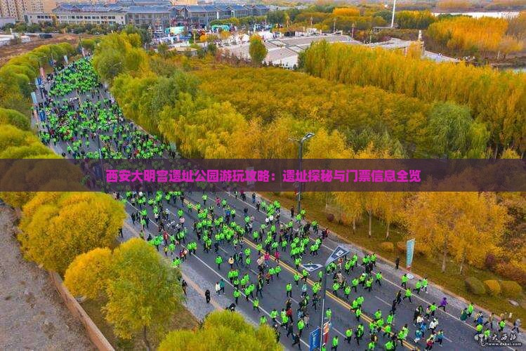 西安大明宫遗址公园游玩攻略：遗址探秘与门票信息全览