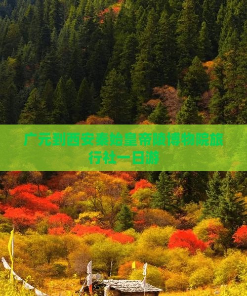 广元到西安秦始皇帝陵博物院旅行社一日游