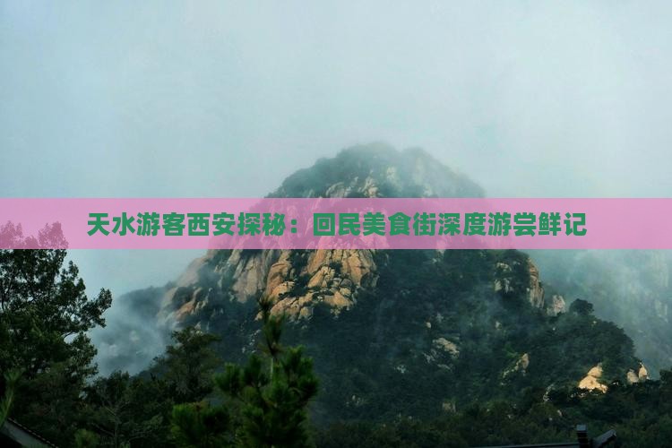 天水游客西安探秘：回民美食街深度游尝鲜记