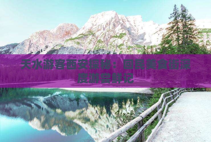 天水游客西安探秘：回民美食街深度游尝鲜记