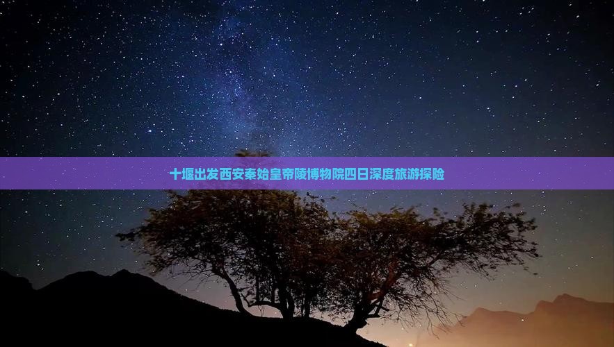 十堰出发西安秦始皇帝陵博物院四日深度旅游探险