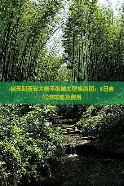 秋天到西安大唐不夜城大型旅游团：3日自驾游攻略及费用