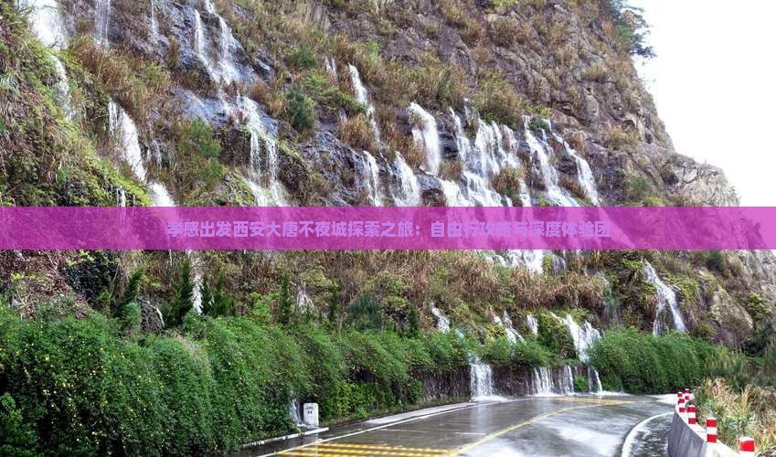 孝感出发西安大唐不夜城探索之旅：自由行攻略与深度体验团