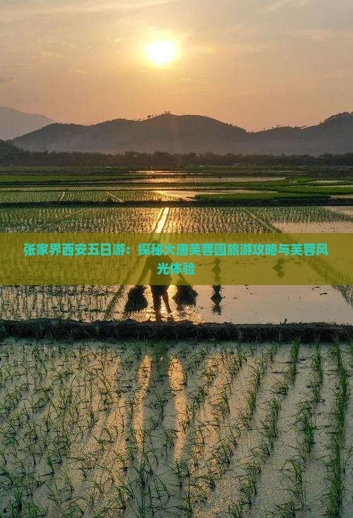 张家界西安五日游：探秘大唐芙蓉园旅游攻略与芙蓉风光体验