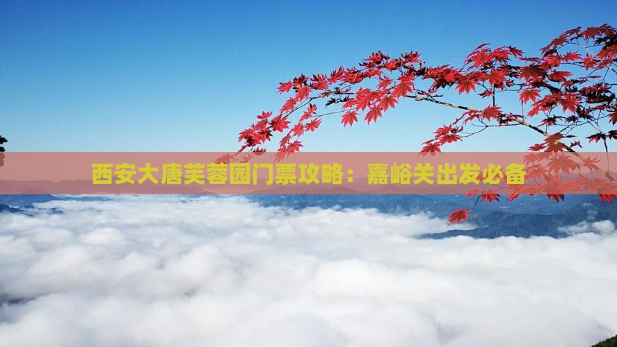 西安大唐芙蓉园门票攻略：嘉峪关出发必备