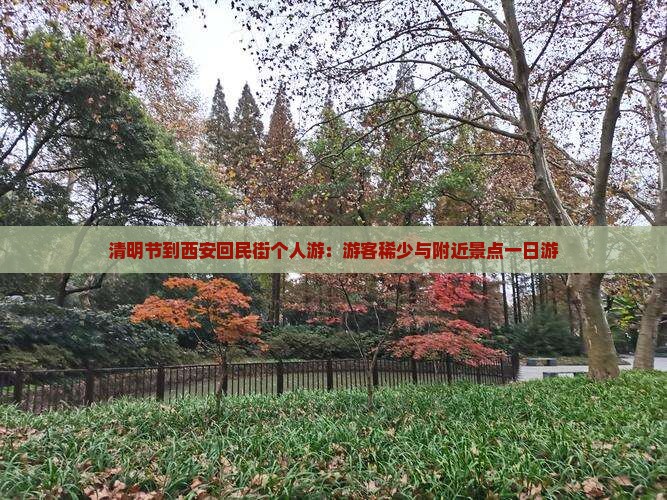 清明节到西安回民街个人游：游客稀少与附近景点一日游