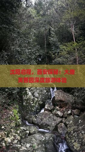沈阳启程，西安探秘：大唐芙蓉园深度旅游体验
