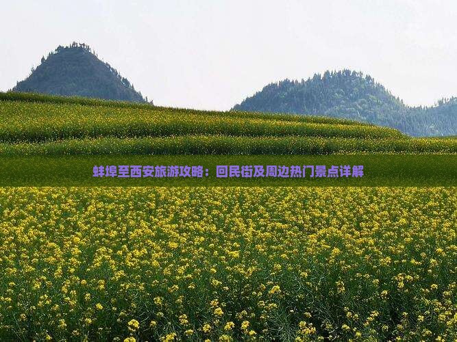 蚌埠至西安旅游攻略：回民街及周边热门景点详解