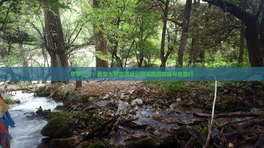 思茅出发：西安大明宫遗址公园深度游攻略与自由行
