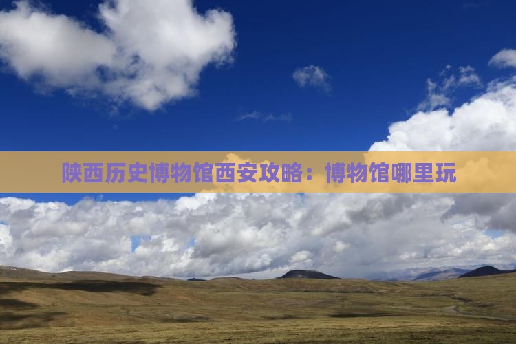 遵义去西安陕西历史博物馆哪里玩