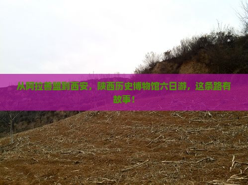 阿拉善盟到西安陕西历史博物馆六日游