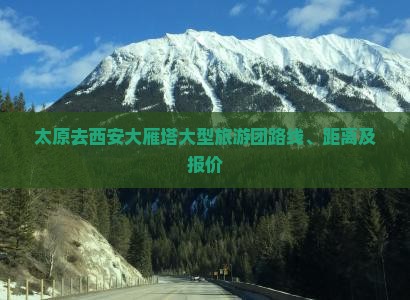 太原去西安大雁塔大型旅游团