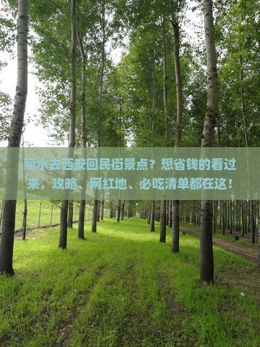 丽水去西安回民街景点