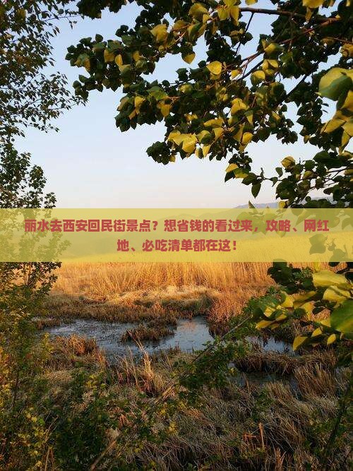 丽水去西安回民街景点