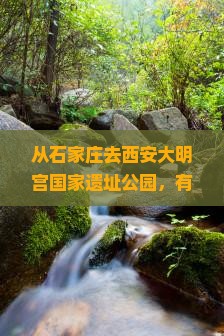 石家庄到西安大明宫国家遗址公园哪里玩