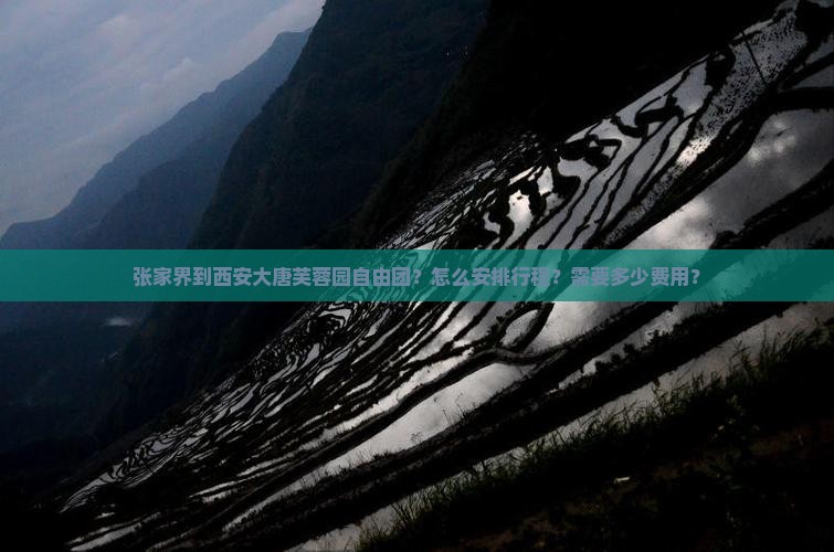 张家界到西安大唐芙蓉园自由团