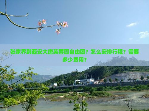 张家界到西安大唐芙蓉园自由团