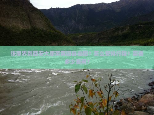 张家界到西安大唐芙蓉园自由团