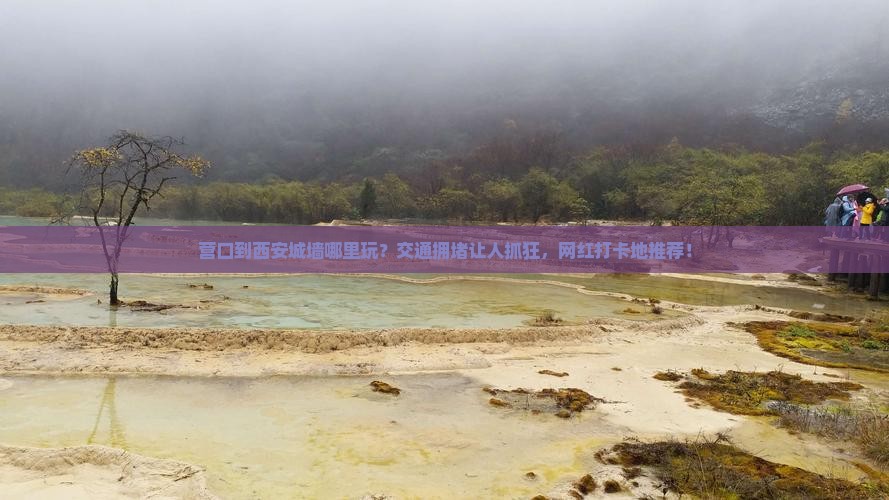 营口到西安城墙哪里玩