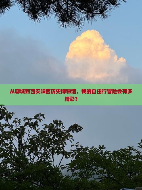 聊城去西安陕西历史博物馆自由行