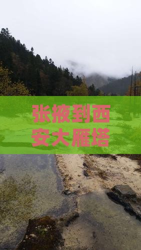 张掖到西安大雁塔七日游