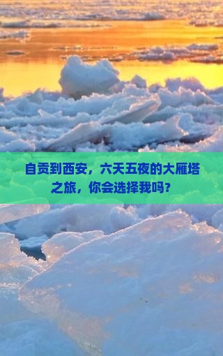 自贡到西安大雁塔六日游