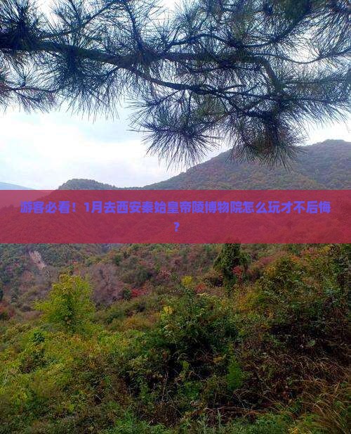 一月到西安秦始皇帝陵博物院哪里玩