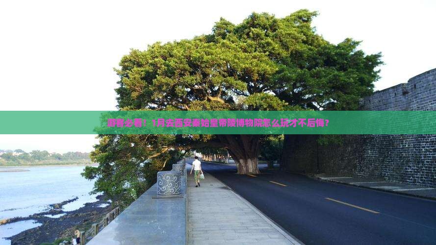 一月到西安秦始皇帝陵博物院哪里玩
