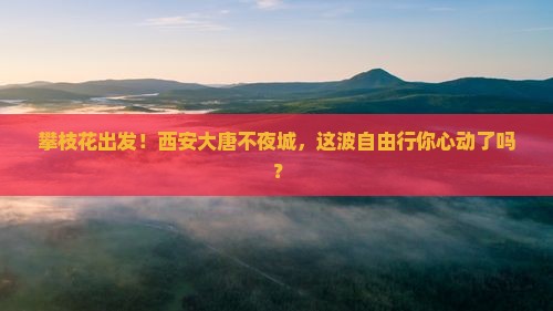 攀枝花去西安大唐不夜城自由团