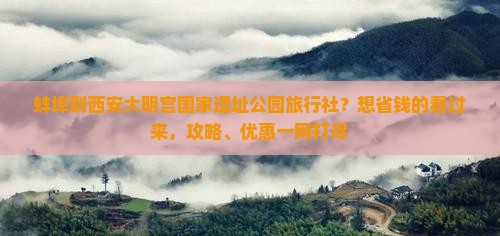 蚌埠到西安大明宫国家遗址公园旅行社