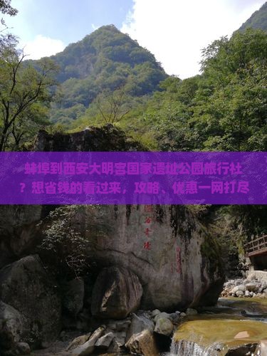 蚌埠到西安大明宫国家遗址公园旅行社