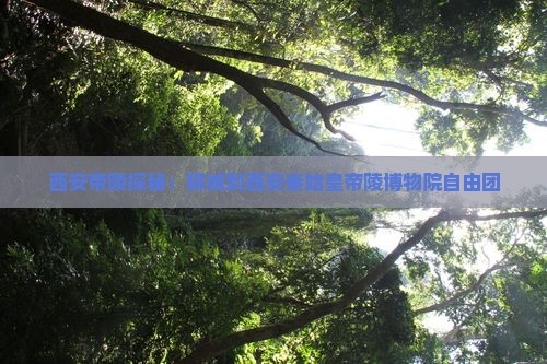 聊城到西安秦始皇帝陵博物院自由团
