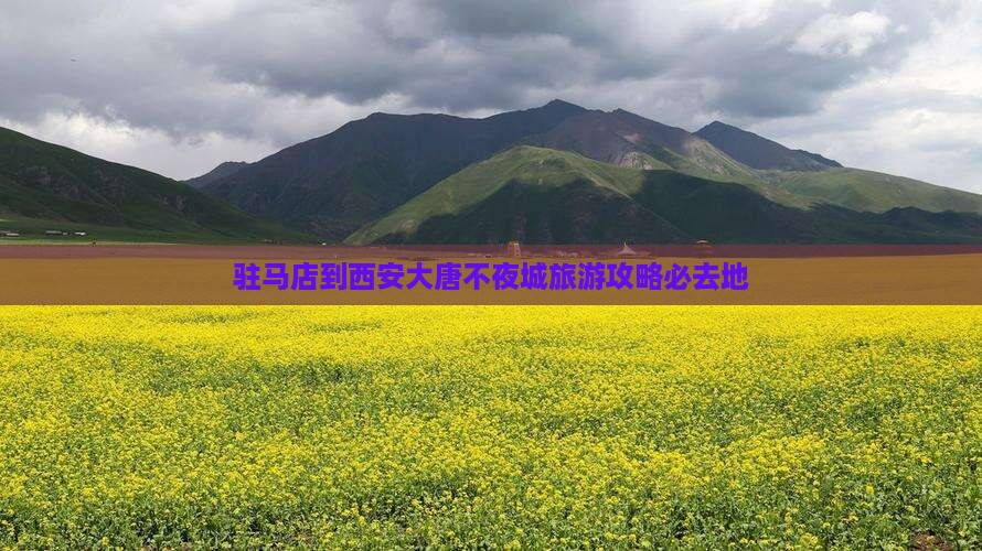 驻马店到西安大唐不夜城必去地