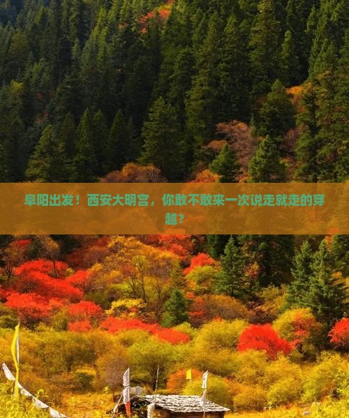 阜阳去西安大明宫国家遗址公园旅行社
