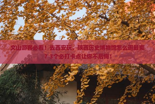 文山到西安陕西历史博物馆景点