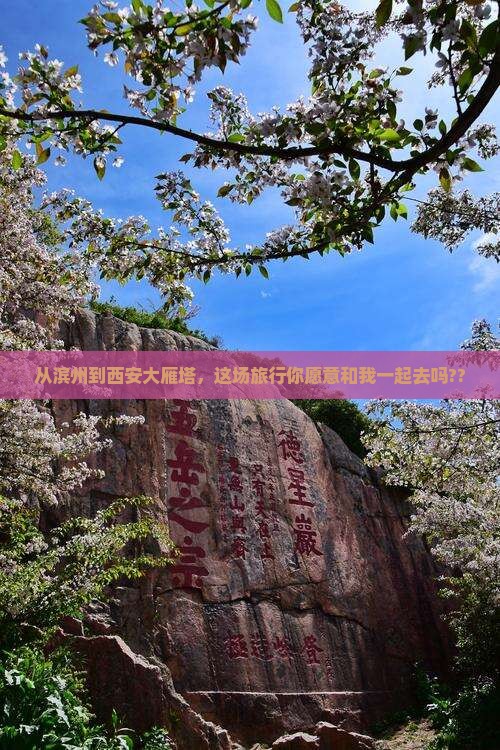 滨州到西安大雁塔大型旅游团
