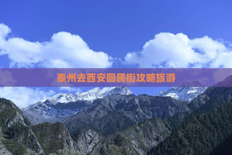 泰州去西安回民街个人游