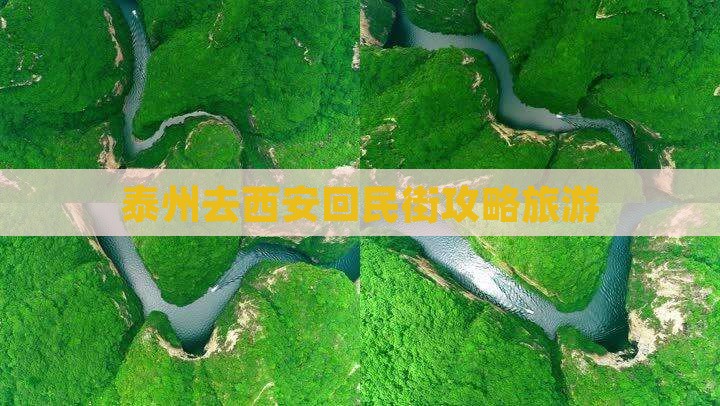 泰州去西安回民街个人游